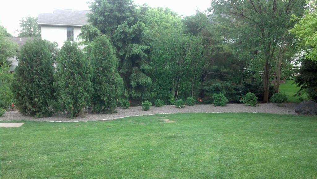 landscaping bloomington il