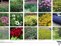 landscape designer bloomington il