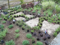 flagstone path landscape installation