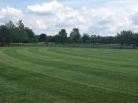 landscape maintenance.jpg